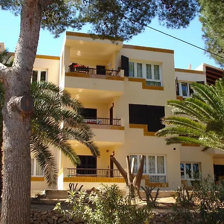 Pinos
